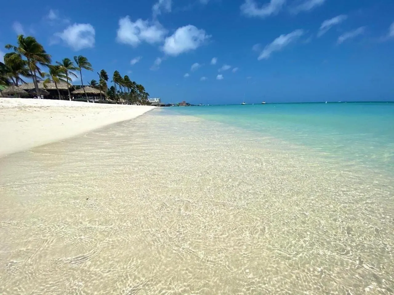Garden Terrace Menas Authentic Wellness Eco Lägenhet Noord Aruba